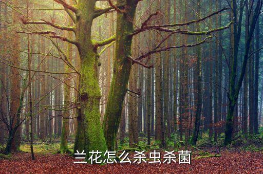 蘭花怎么殺蟲殺菌