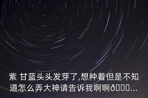 種植紫甘藍該用什么農藥,紫甘藍種植需要打農藥嗎