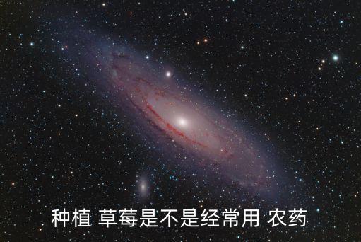 草莓為什么打農藥,草莓會不會打農藥