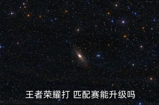 王者農(nóng)藥匹配技術(shù)是什么,打王者農(nóng)藥是什么意思