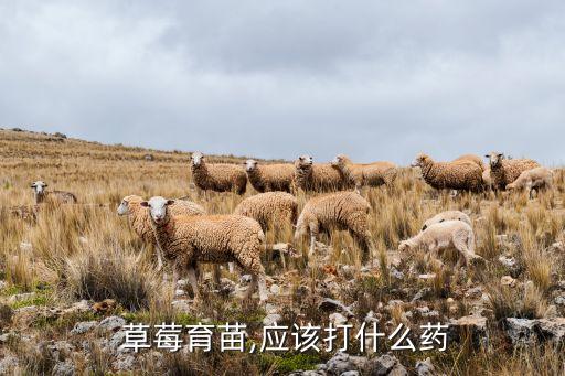 草莓葉片噴什么農藥好使,草莓病蟲害用什么農藥