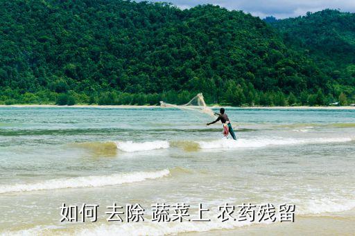 如何 去除 蔬菜上 農藥殘留