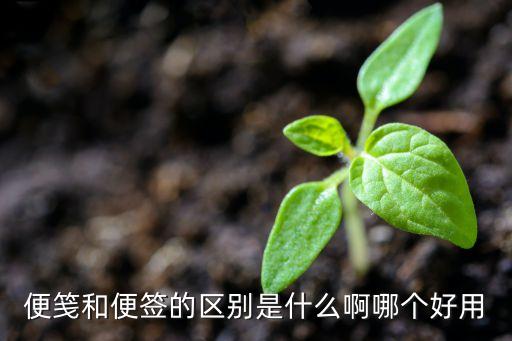 便箋和便簽的區(qū)別是什么啊哪個好用