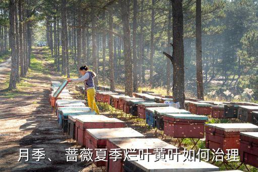 薔薇病害用什么農(nóng)藥,健達(dá)農(nóng)藥針對什么病害