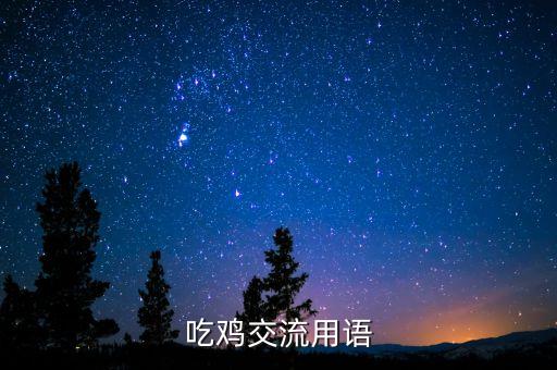 吃雞交流用語