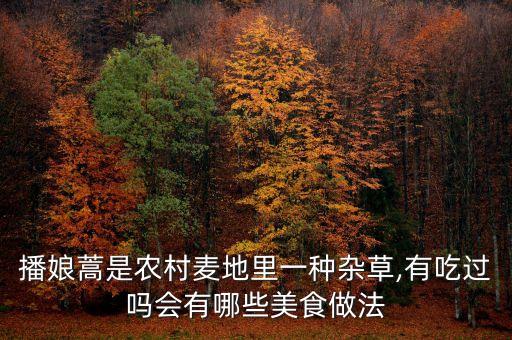 播娘蒿是農(nóng)村麥地里一種雜草,有吃過嗎會有哪些美食做法