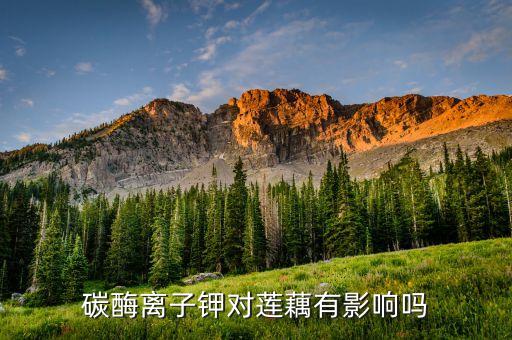 碳酶離子鉀對蓮藕有影響嗎