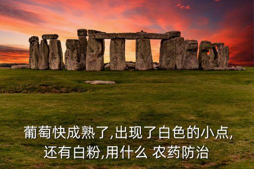 葡萄打什么農藥上果粉,葡萄用什么農藥最多