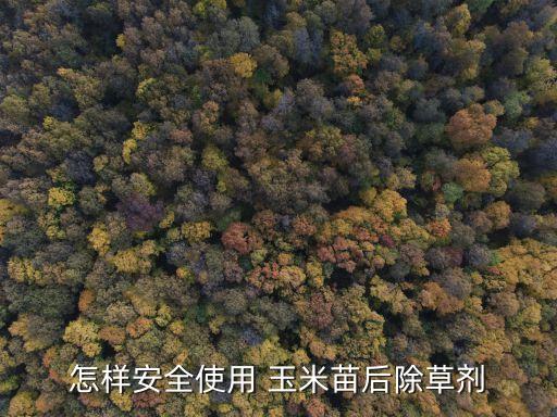 怎樣安全使用 玉米苗后除草劑