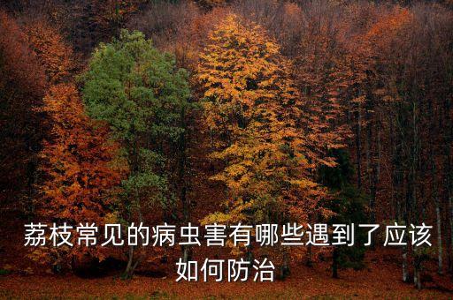 荔枝常見的病蟲害有哪些遇到了應該如何防治