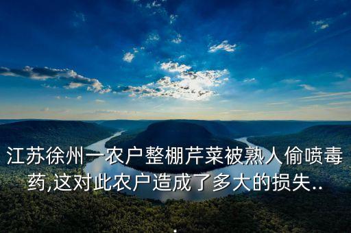 江蘇徐州一農(nóng)戶整棚芹菜被熟人偷噴毒藥,這對此農(nóng)戶造成了多大的損失...
