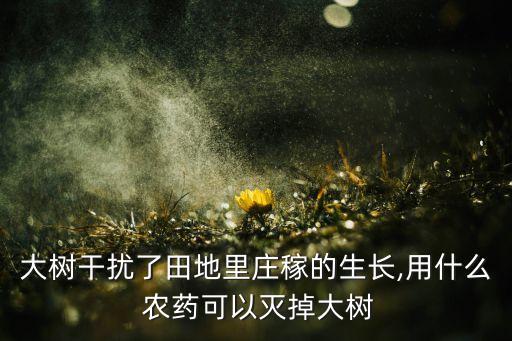 大樹干擾了田地里莊稼的生長,用什么 農藥可以滅掉大樹
