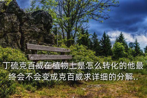 丁硫克百威在植物上是怎么轉化的他最終會不會變成克百威求詳細的分解...