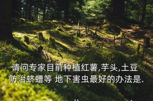 地下蟲卵用什么農(nóng)藥防治,打蟲卵的農(nóng)藥有什么