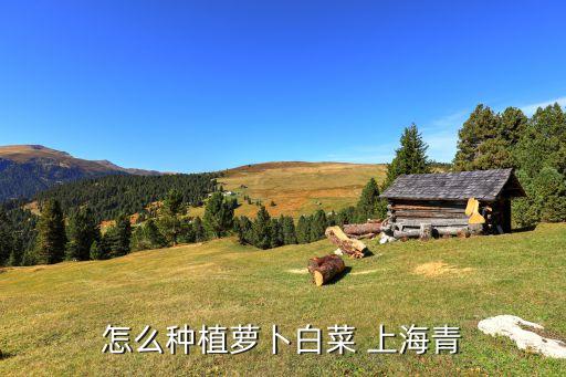 上海青白葉病打什么農藥