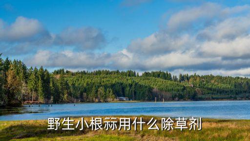 蒜用什么農藥,農藥聞多了有什么后果