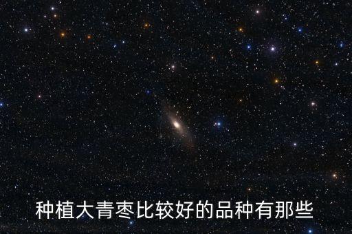 什么農藥讓棗子白亮