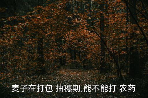 小麥抽穗期施什么農(nóng)藥好,山東小麥抽穗在什么時間