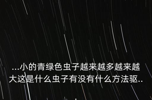 小圓葉蟲用什么農藥殺,小猿葉蟲用什么農藥殺