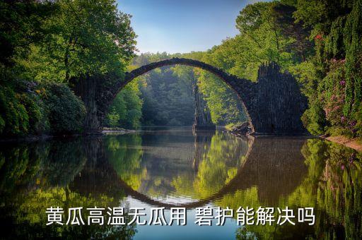 碧護(hù)農(nóng)藥能治療什么病,畢護(hù)農(nóng)藥