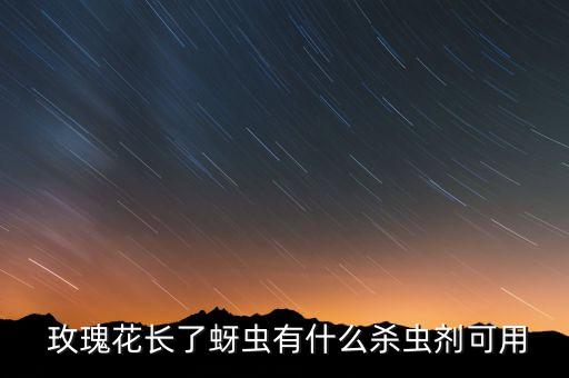 玫瑰花長了蚜蟲有什么殺蟲劑可用