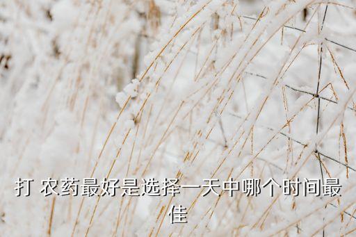 打 農藥最好是選擇一天中哪個時間最佳