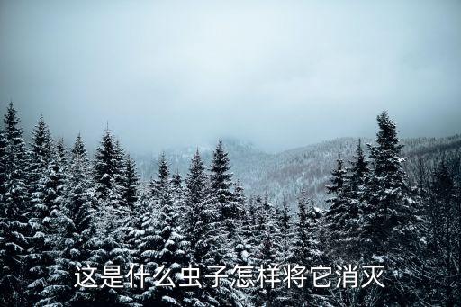 雪松的害蟲用什么農藥,什么農藥防治地下害蟲