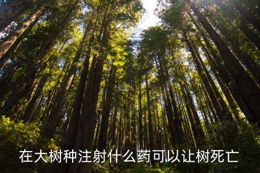 樹木注干使用什么農(nóng)藥好,樹木鉆心蟲用什么農(nóng)藥效果好