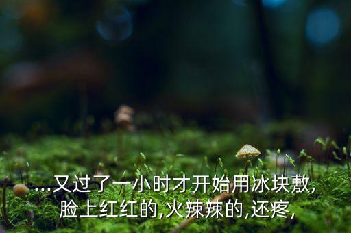...又過了一小時才開始用冰塊敷, 臉上紅紅的,火辣辣的,還疼,