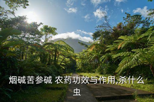 煙堿苦參堿 農藥功效與作用,殺什么蟲