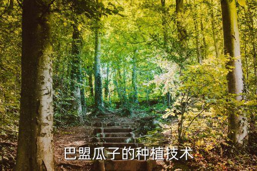 巴盟瓜子的種植技術