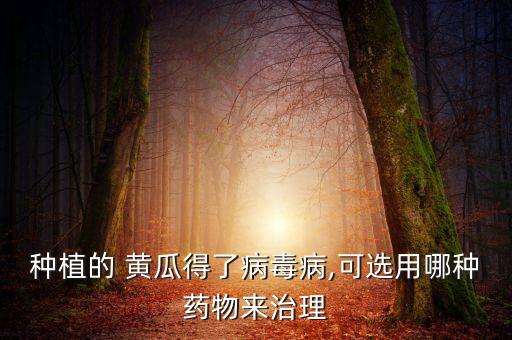 黃瓜打什么農藥好得快,黃瓜不能用什么農藥