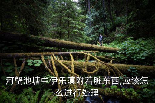 什么農藥可以殺滅伊樂草,螺蟲用什么農藥殺滅