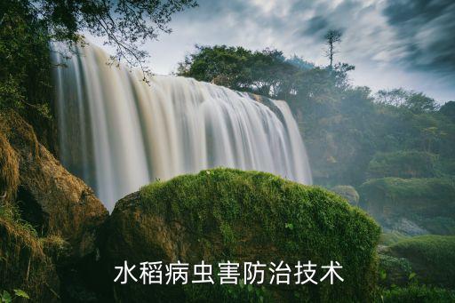 水稻病蟲害防治技術(shù)