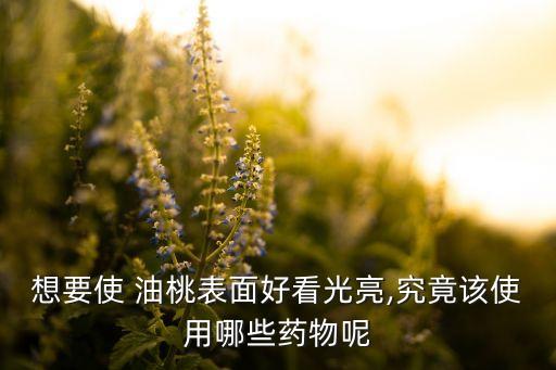 想要使 油桃表面好看光亮,究竟該使用哪些藥物呢