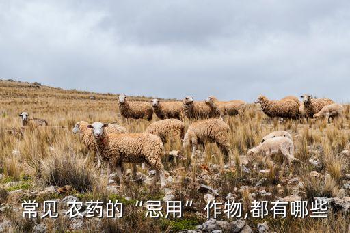 什么農藥用了產生藥害,產生藥害會出現什么現狀