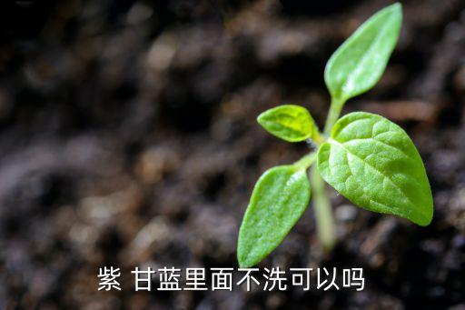 紫 甘藍里面不洗可以嗎
