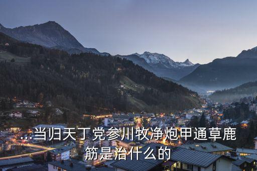 ,天丁牌的農藥叫什么