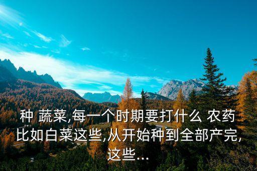 蔬菜平時(shí)用什么農(nóng)藥預(yù)防,蔬菜有蟲子打什么農(nóng)藥