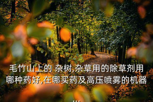 清理雜樹農藥用什么藥水,雜樹用什么農藥根除