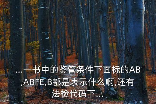 ...一書中的鑒管條件下面標的AB,ABFE,B都是表示什么啊,還有法檢代碼下...