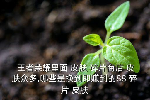 王者榮耀里面 皮膚 碎片商店 皮膚眾多,哪些是換到即賺到的88 碎片 皮膚