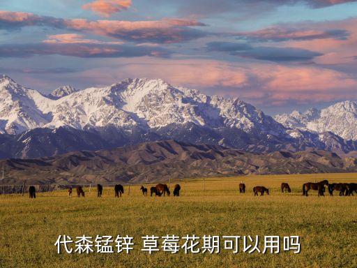 草莓灰霉病用什么農藥,灰霉病用什么農藥最好