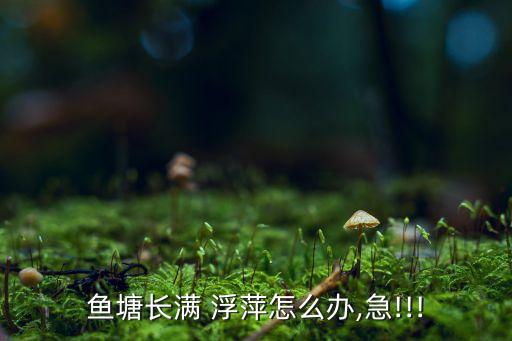 青浮萍打什么農藥才能除掉