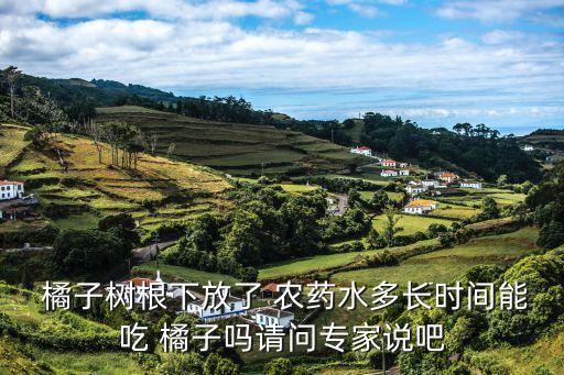 橘子什么時候噴農藥,橘子噴農藥后多久可以吃