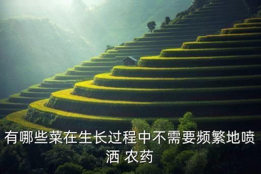 有哪些菜在生長過程中不需要頻繁地噴灑 農(nóng)藥