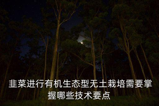 韭菜進行有機生態(tài)型無土栽培需要掌握哪些技術(shù)要點