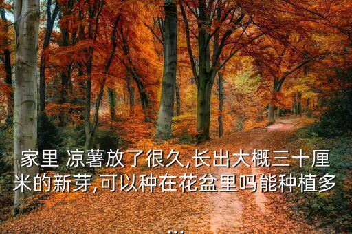 涼薯打了什么農藥