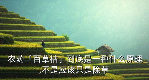 百草菇農藥什么成分,喝百草菇農藥多久能死