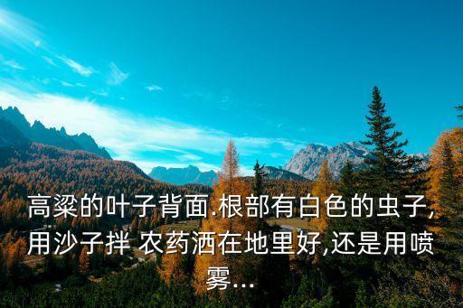 高梁生蟲打什么農(nóng)藥,高梁蟲用什么藥效果好